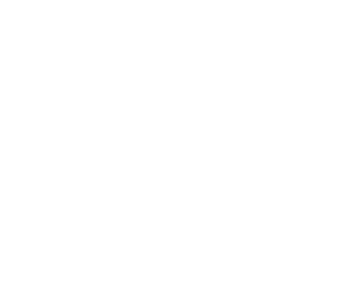 Руководящие дол